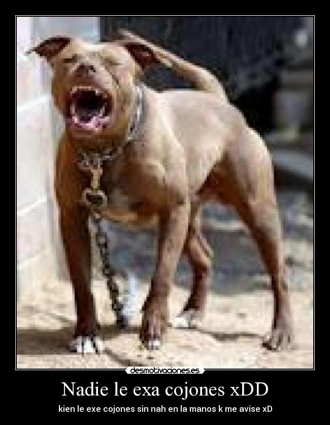 Nadie le exa cojones xDD - kien le exe cojones sin nah en la manos k me avise xD