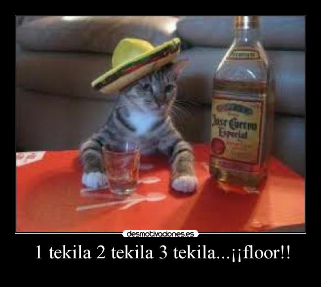1 tekila 2 tekila 3 tekila...¡¡floor!! -