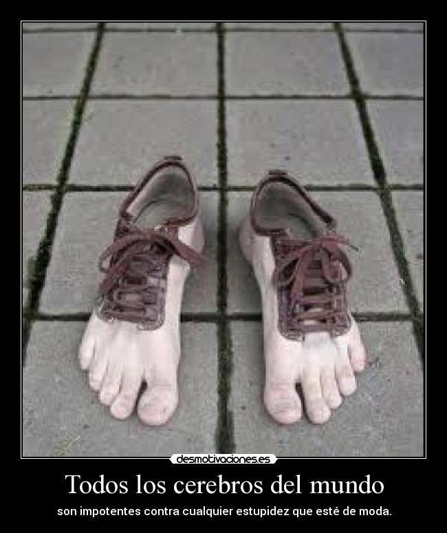 Todos los cerebros del mundo - son impotentes contra cualquier estupidez que esté de moda.