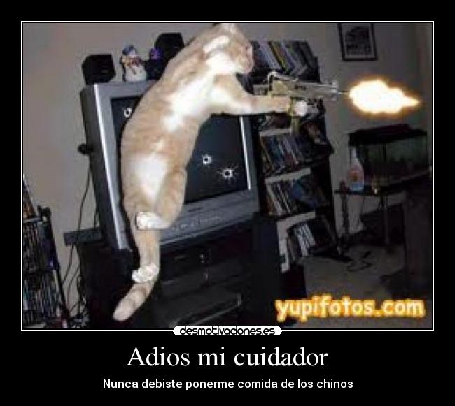 Adios mi cuidador - Nunca debiste ponerme comida de los chinos