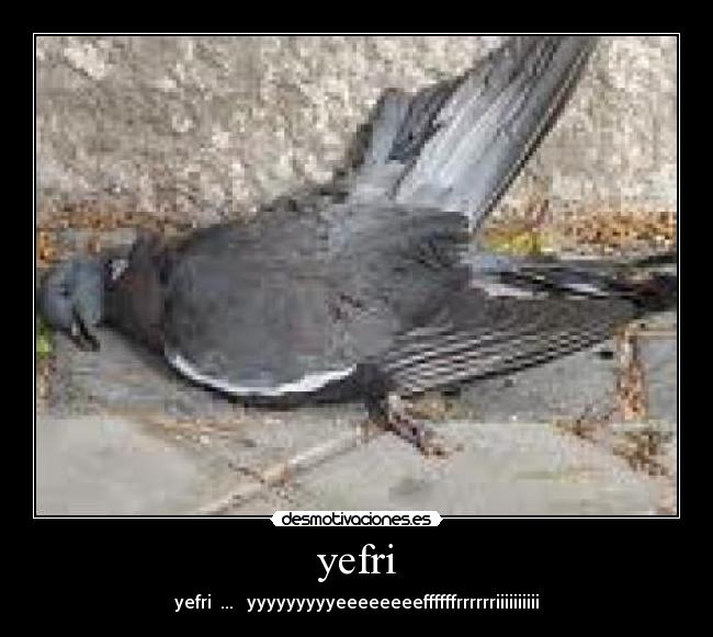 yefri -