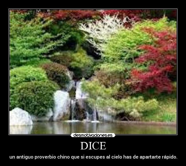 DICE - un antiguo proverbio chino que si escupes al cielo has de apartarte rápido.