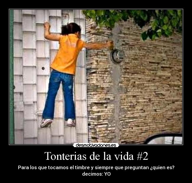 Tonterias de la vida #2 -
