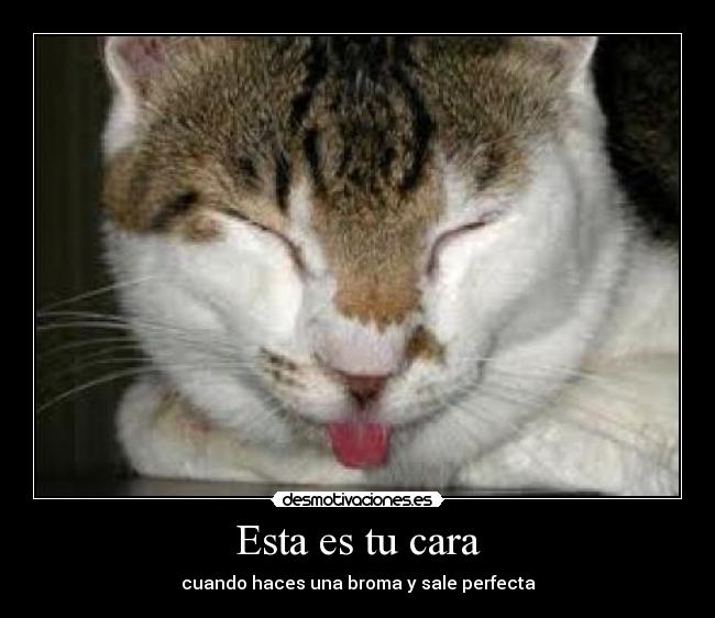 Esta es tu cara - cuando haces una broma y sale perfecta