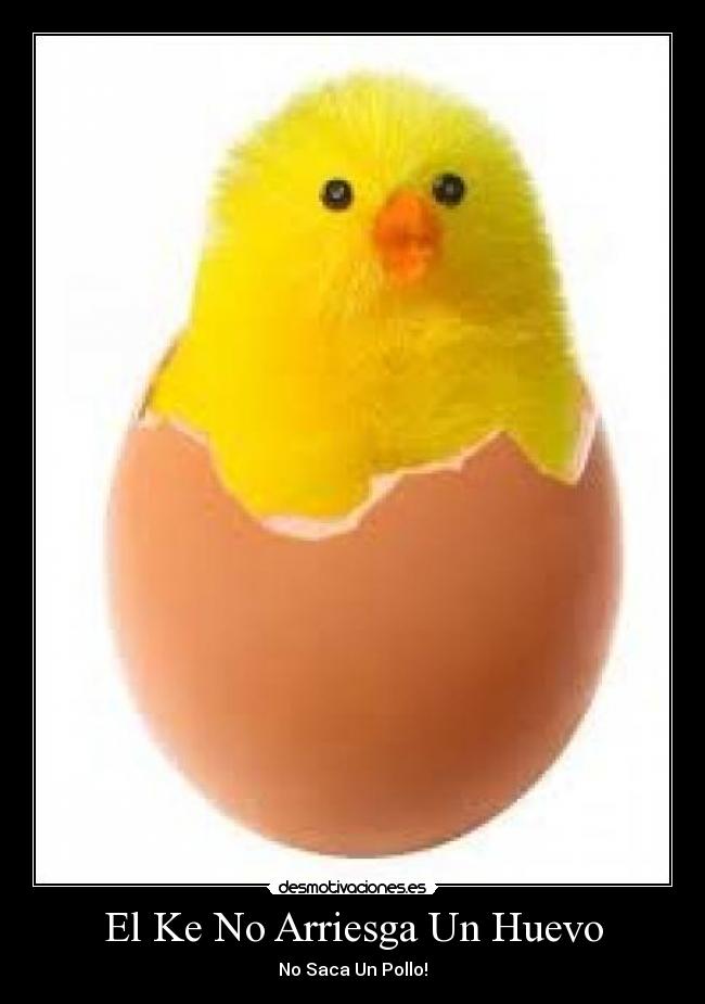 El Ke No Arriesga Un Huevo - 