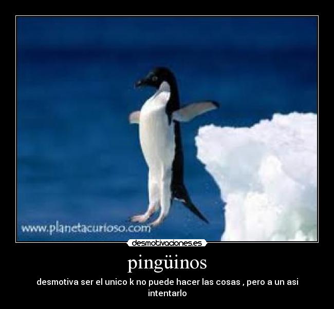 pingüinos - desmotiva ser el unico k no puede hacer las cosas , pero a un asi intentarlo