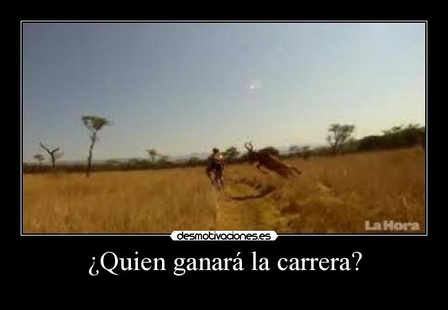 ¿Quien ganará la carrera? -