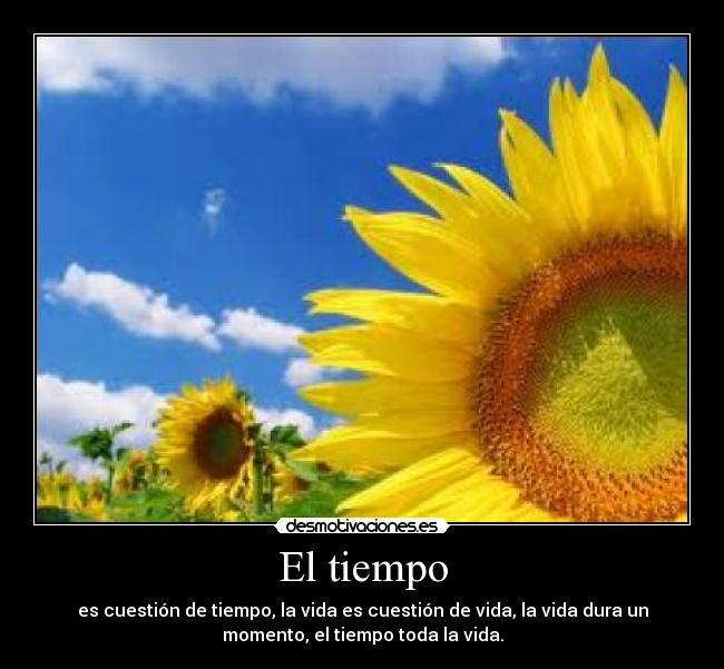 El tiempo - es cuestión de tiempo, la vida es cuestión de vida, la vida dura un
momento, el tiempo toda la vida.