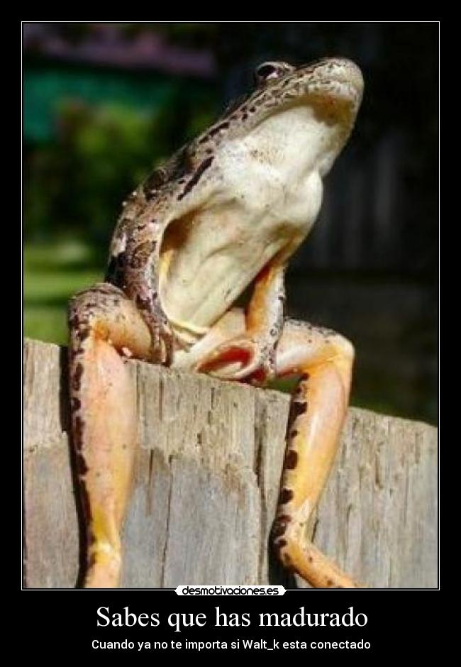 Sabes que has madurado - 