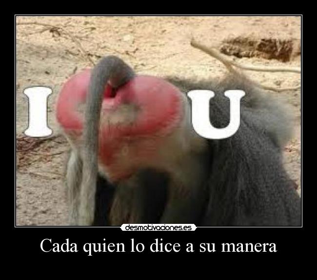 carteles love desmotivaciones