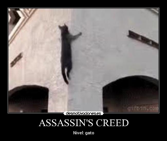 carteles gato desmotivaciones