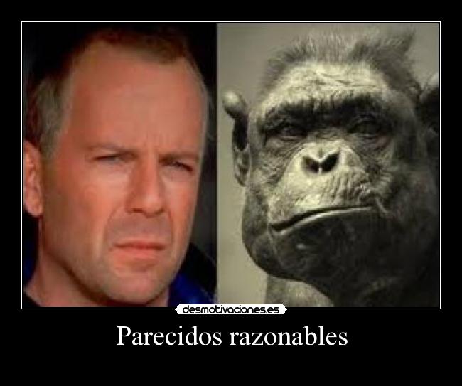 Parecidos razonables -