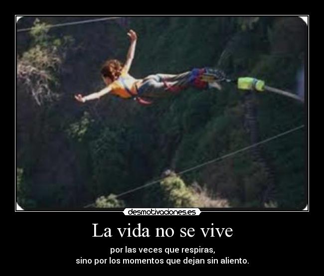 La vida no se vive -