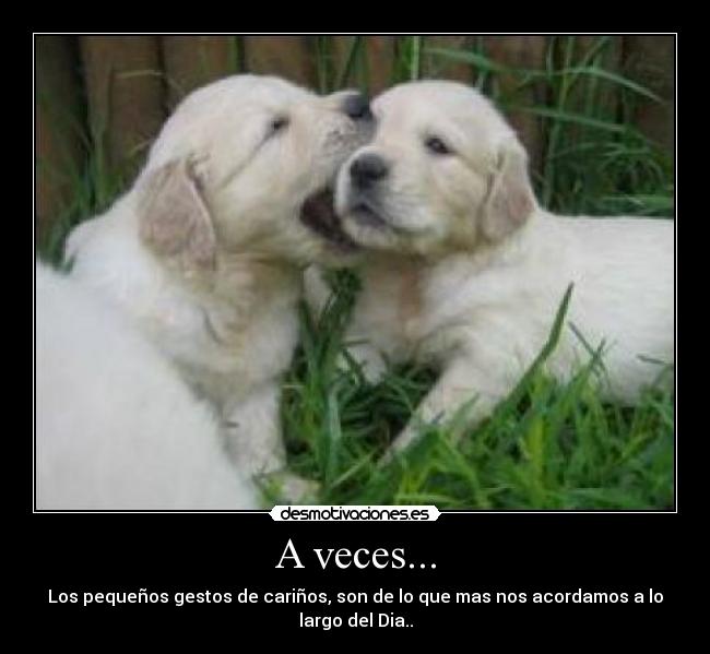 A veces... - Los pequeños gestos de cariños, son de lo que mas nos acordamos a lo largo del Dia..