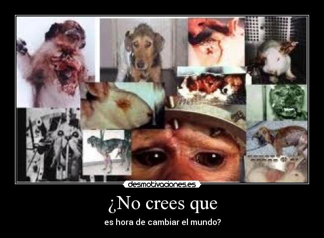 carteles ascodemundo desmotivaciones