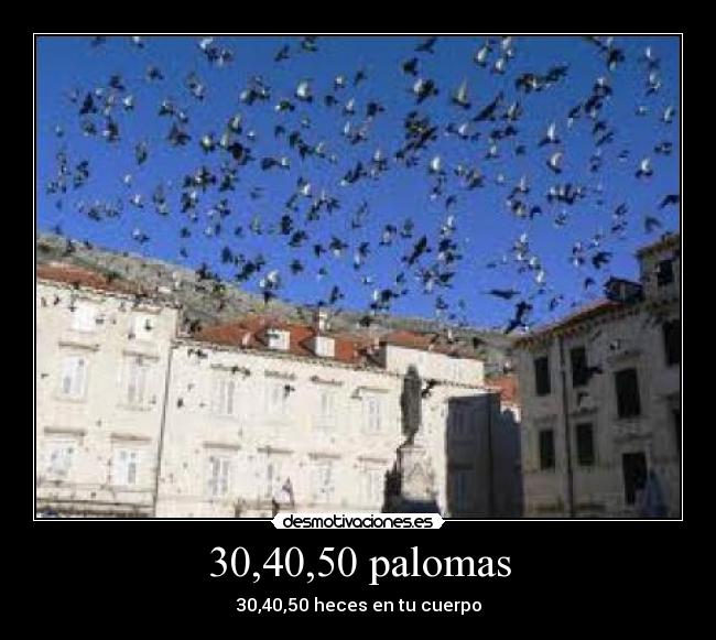 30,40,50 palomas - 30,40,50 heces en tu cuerpo