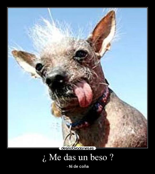 ¿ Me das un beso ? - - Ni de coña