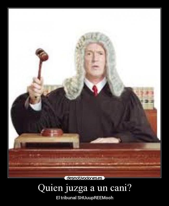 Quien juzga a un cani? - El tribunal SHUuupREEMooh