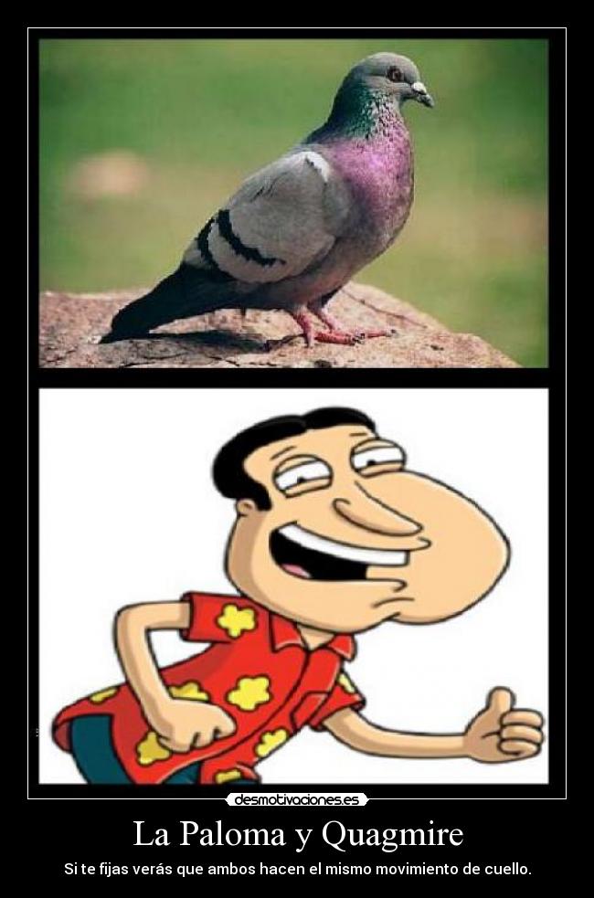 carteles paloma quagmire desmotivaciones