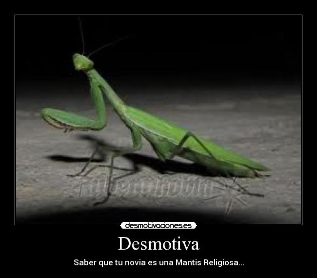 Desmotiva -