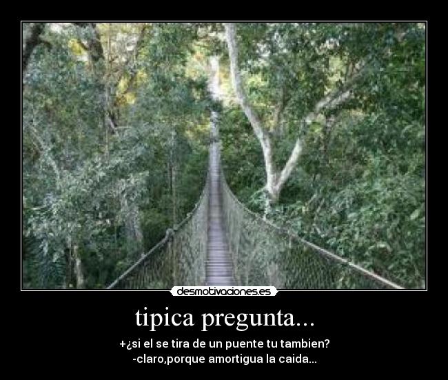 tipica pregunta... - +¿si el se tira de un puente tu tambien?
-claro,porque amortigua la caida...