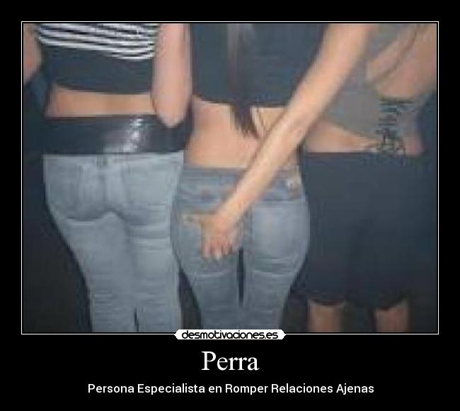 Perra - 