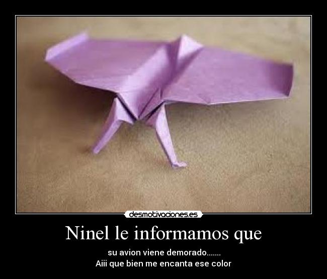 Ninel le informamos que -