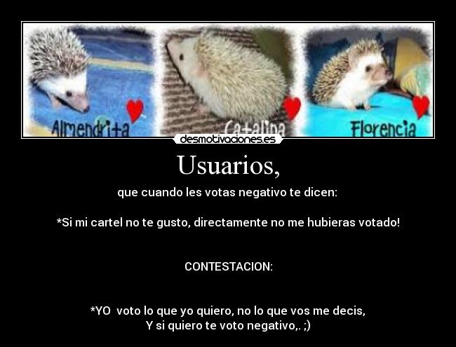 Usuarios, - que cuando les votas negativo te dicen: 

*Si mi cartel no te gusto, directamente no me hubieras votado!


CONTESTACION:


*YO  voto lo que yo quiero, no lo que vos me decis,
Y si quiero te voto negativo,. ;)