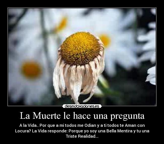 carteles muerte vida muerte desmotivaciones