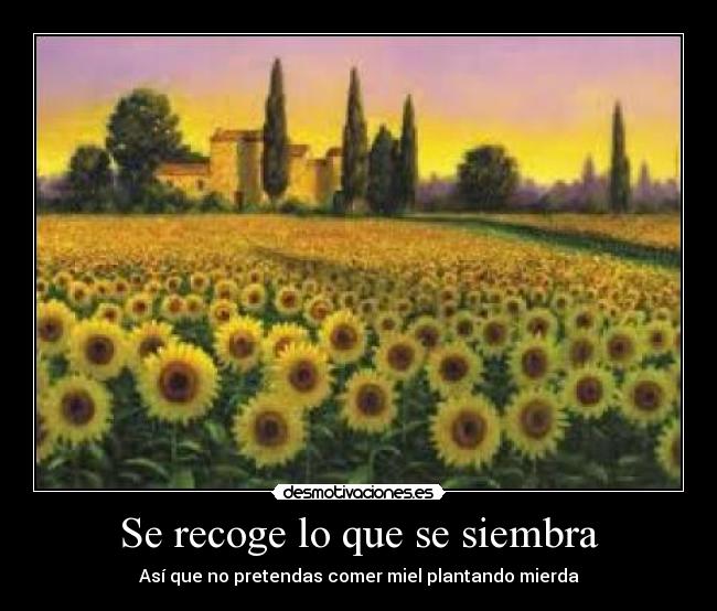 Se recoge lo que se siembra - Así que no pretendas comer miel plantando mierda