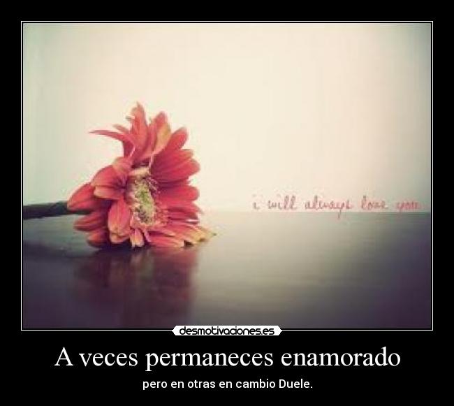 A veces permaneces enamorado - pero en otras en cambio Duele.