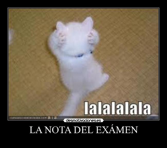 LA NOTA DEL EXÁMEN -