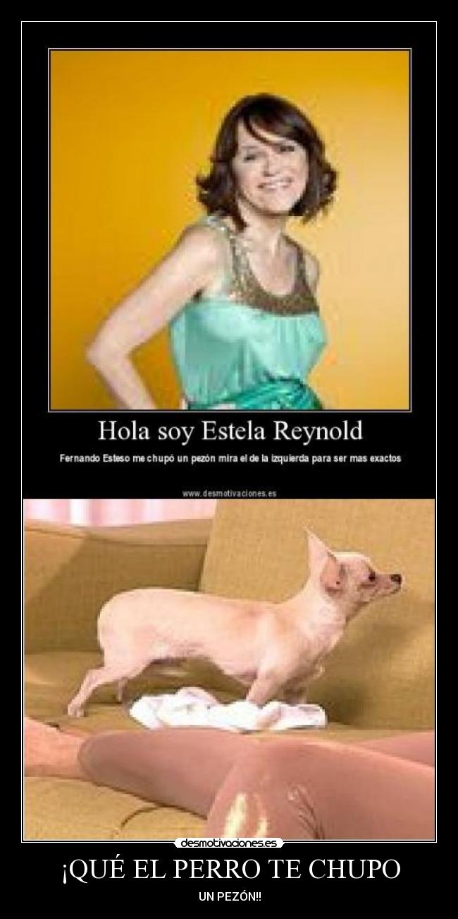 ¡QUÉ EL PERRO TE CHUPO - UN PEZÓN!!