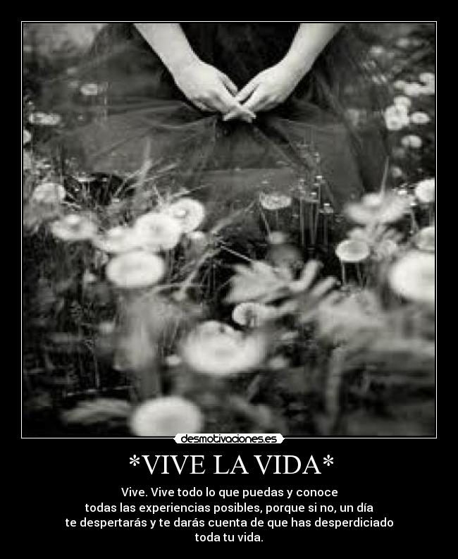 *VIVE LA VIDA* - Vive. Vive todo lo que puedas y conoce
todas las experiencias posibles, porque si no, un día
te despertarás y te darás cuenta de que has desperdiciado
toda tu vida.