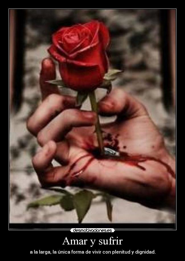 Amar y sufrir -