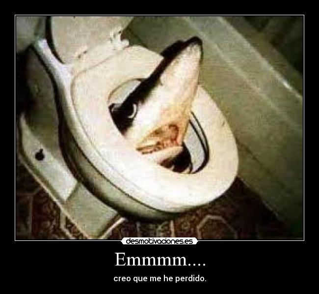 carteles tiburon gracioso perdi siroscaracso desmotivaciones poseta tiburon poseta desmotivaciones