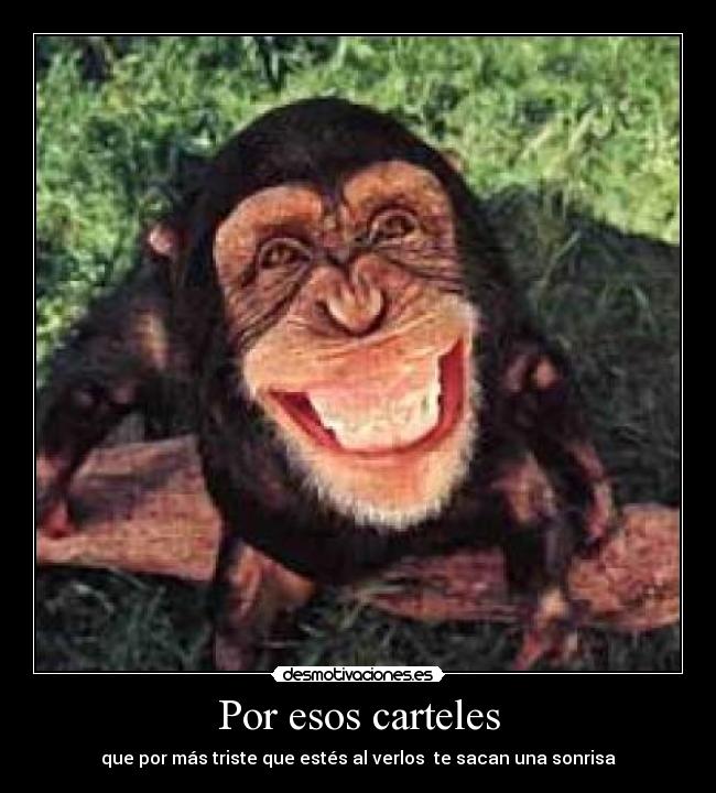 Por esos carteles - que por más triste que estés al verlos te sacan una sonrisa