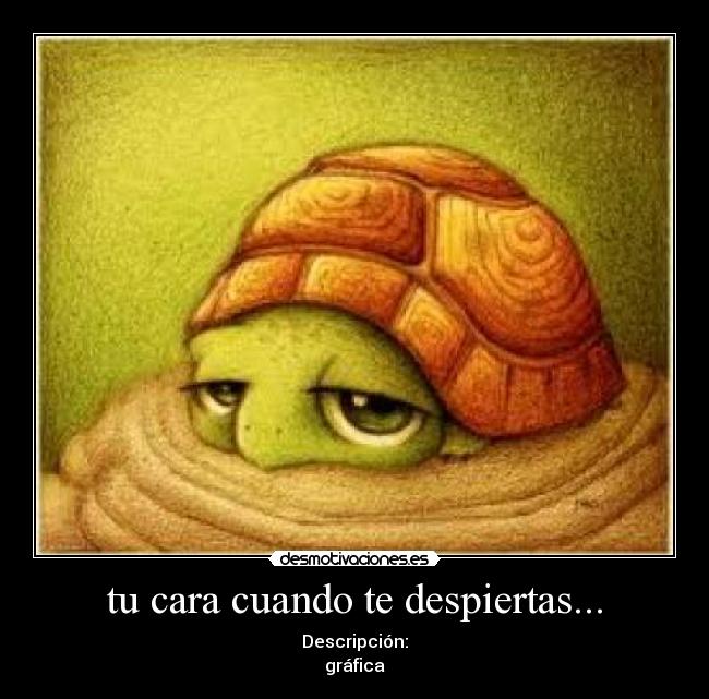 tu cara cuando te despiertas... - 