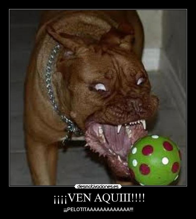 ¡¡¡¡VEN AQUIII!!!! - 