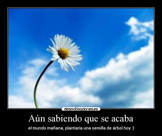 Aún sabiendo que se acaba -