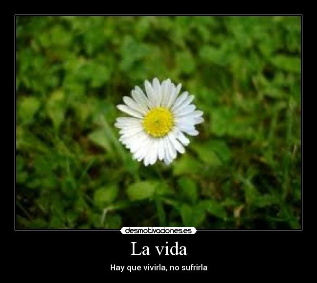 La vida - Hay que vivirla, no sufrirla