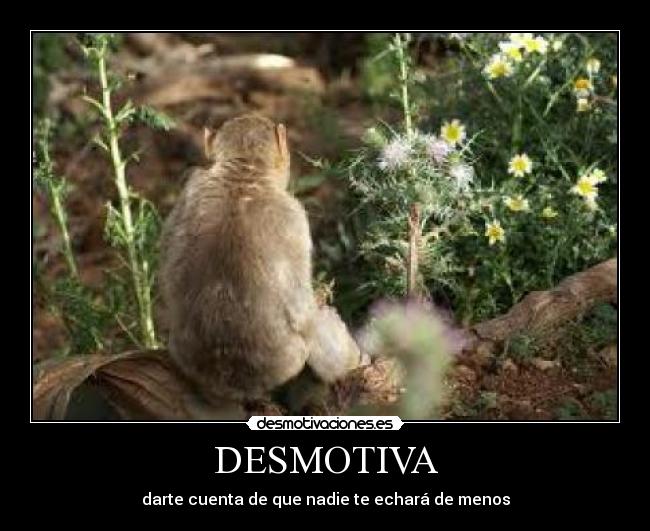 DESMOTIVA -