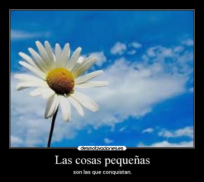 Las cosas pequeñas -