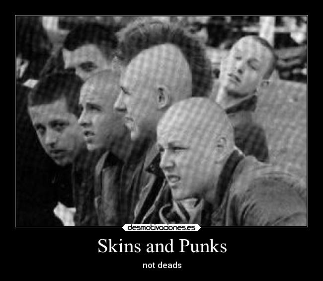 Skins and Punks -