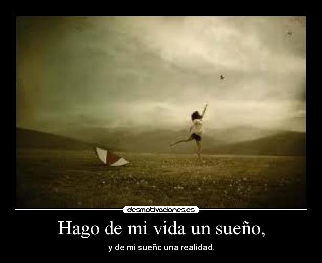 carteles vida sueno desmotivaciones