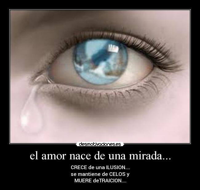 el amor nace de una mirada... - CRECE de una ILUSION....
se mantiene de CELOS y
MUERE deTRAICION....