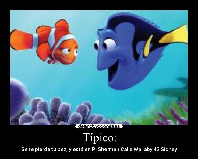 Típico: - Se te pierde tu pez, y está en P. Sherman Calle Wallaby 42 Sidney