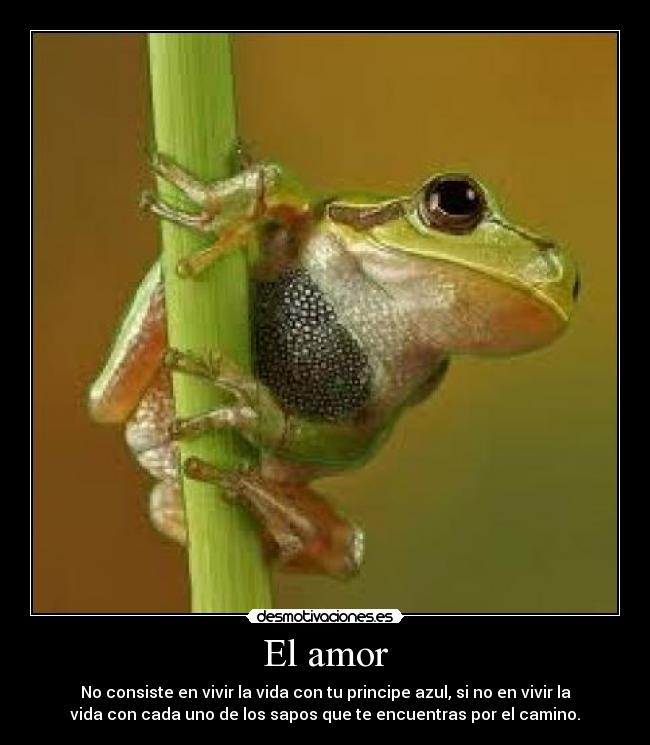 El amor - No consiste en vivir la vida con tu principe azul, si no en vivir la
vida con cada uno de los sapos que te encuentras por el camino.