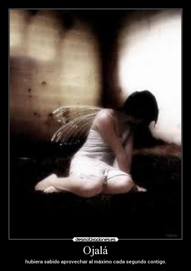 Ojalá - hubiera sabido aprovechar al máximo cada segundo contigo.