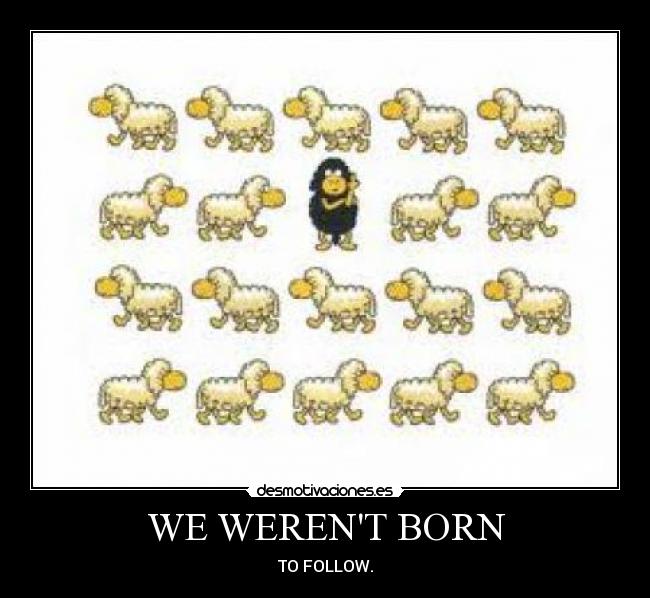 WE WERENT BORN - 